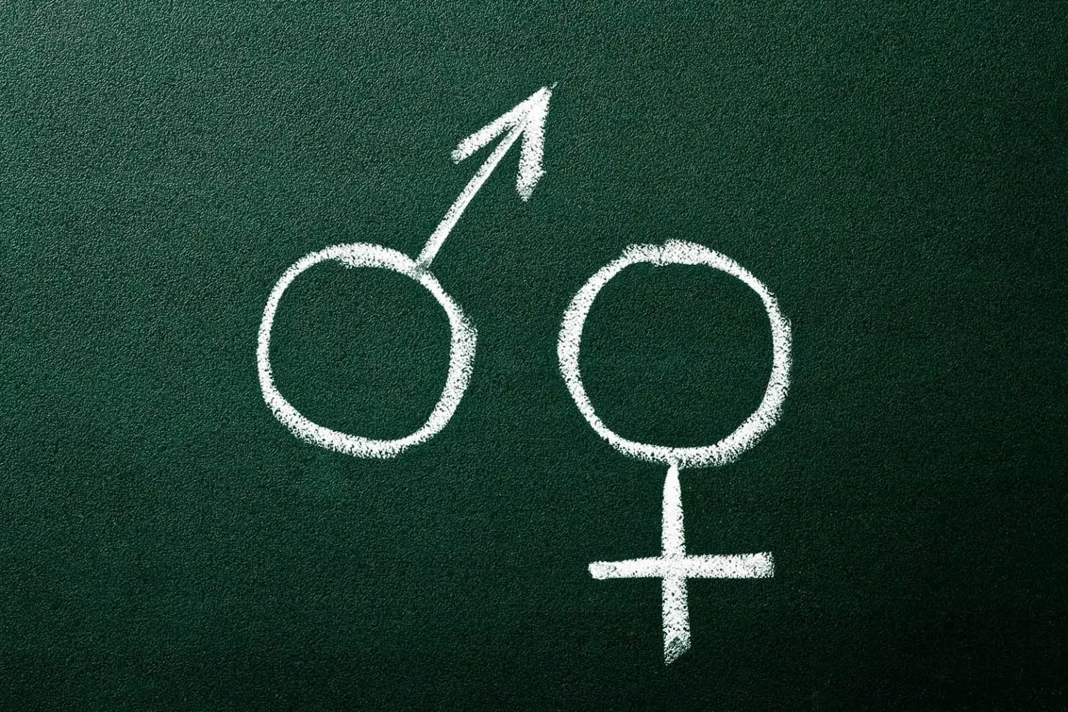 A school blackboard with the symbol for female and male in chalk