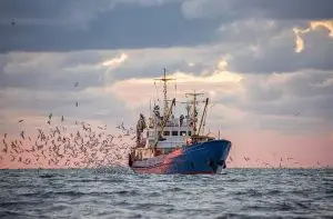 A fishing boat trawler at sea