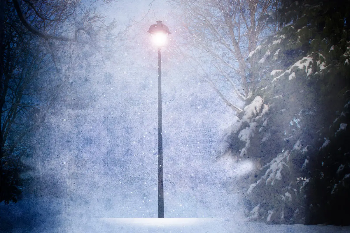 Lamp post alight in a darkened forest in a snowy scene