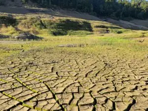 Dry river bed